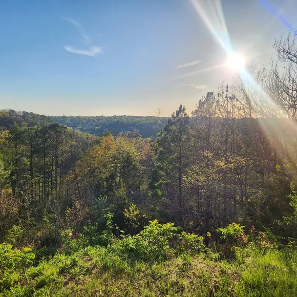 Show Listing - Picture 1 of 1